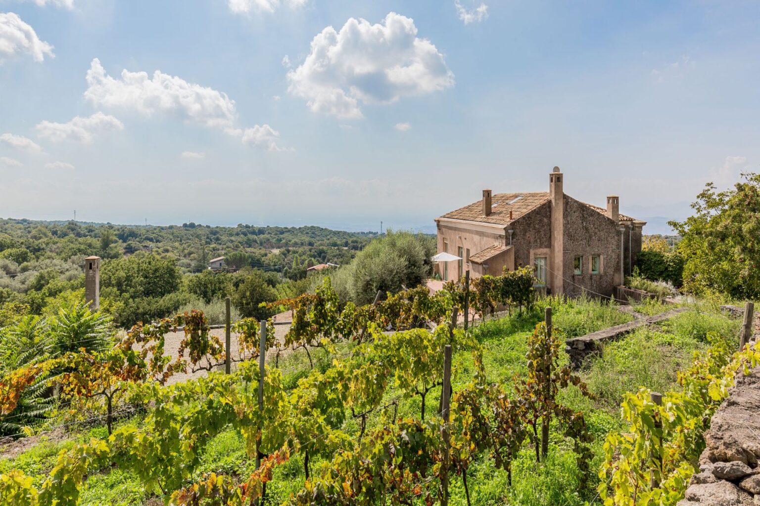 Scenic view of a rustic house surrounded by lush vineyards and rolling hills under a bright blue sky with fluffy clouds. The landscape features greenery and distant views, ideal for wine tourism and countryside retreats. | Only on SopranoVillas