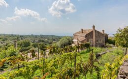 Scenic view of a rustic house surrounded by lush vineyards and rolling hills under a bright blue sky with fluffy clouds. The landscape features greenery and distant views, ideal for wine tourism and countryside retreats.