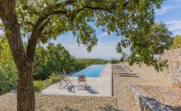 Serene outdoor pool area surrounded by lush greenery, featuring a modern infinity pool, sun loungers, and a shaded tree, perfect for relaxation and leisure.