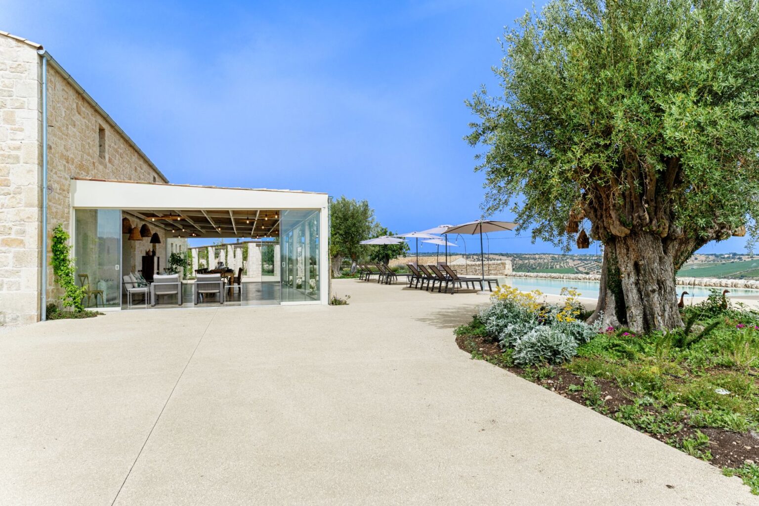 Modern outdoor space featuring a glass-walled dining area, surrounded by lush greenery and a large olive tree. Comfortable lounge chairs with umbrellas are positioned by a serene body of water, offering a peaceful retreat in a picturesque landscape. | Only on SopranoVillas