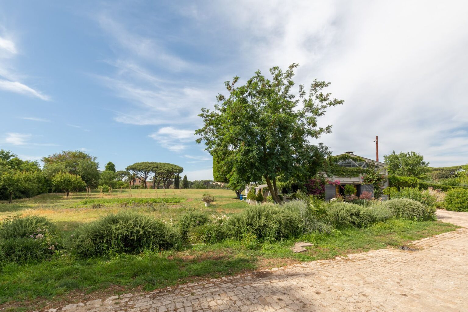 Scenic countryside landscape featuring a charming house surrounded by lush greenery, trees, and a stone pathway under a clear blue sky. Ideal for nature lovers and those seeking tranquility in rural settings. | Only on SopranoVillas