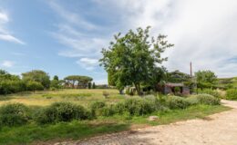  | Only on SopranoVillas