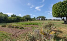  | Only on SopranoVillas