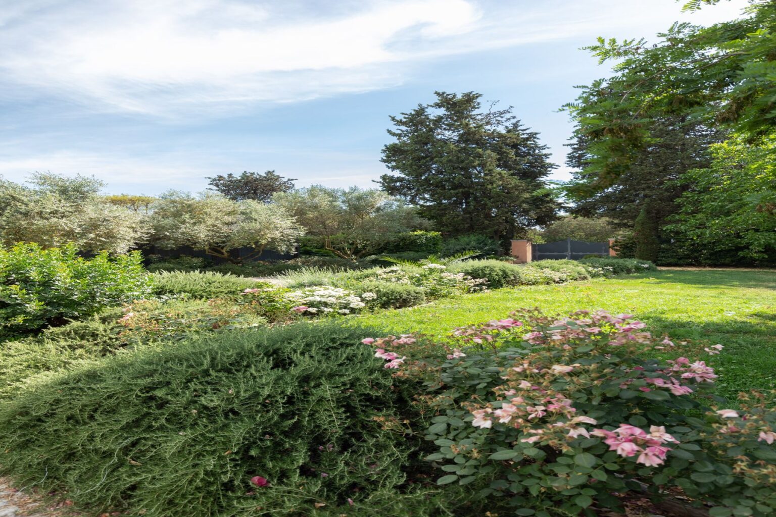 Lush garden landscape featuring a variety of greenery, including flowering plants and shrubs, under a clear blue sky. The scene showcases olive trees and vibrant pink flowers, creating a serene outdoor atmosphere. | Only on SopranoVillas