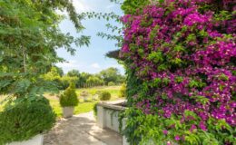  | Only on SopranoVillas