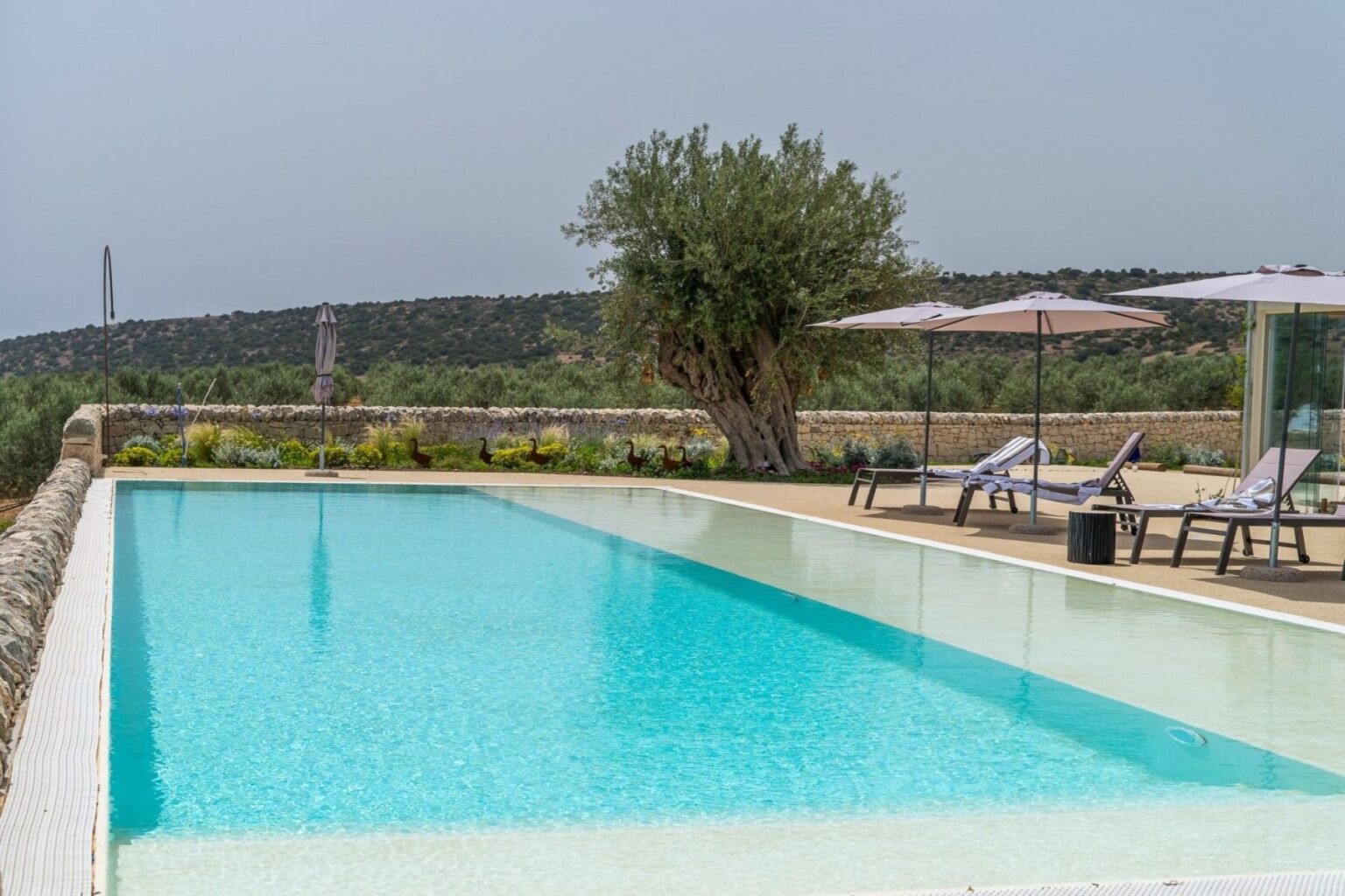 Serene outdoor swimming pool surrounded by vibrant greenery, featuring modern lounge chairs and umbrellas, with a rustic stone wall and olive trees in the background, set against a tranquil landscape. | Only on SopranoVillas