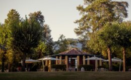 Scenic view of a charming outdoor café surrounded by lush trees and patio umbrellas, set against a backdrop of mountains and a clear sky. Ideal for relaxation and dining in a natural setting.