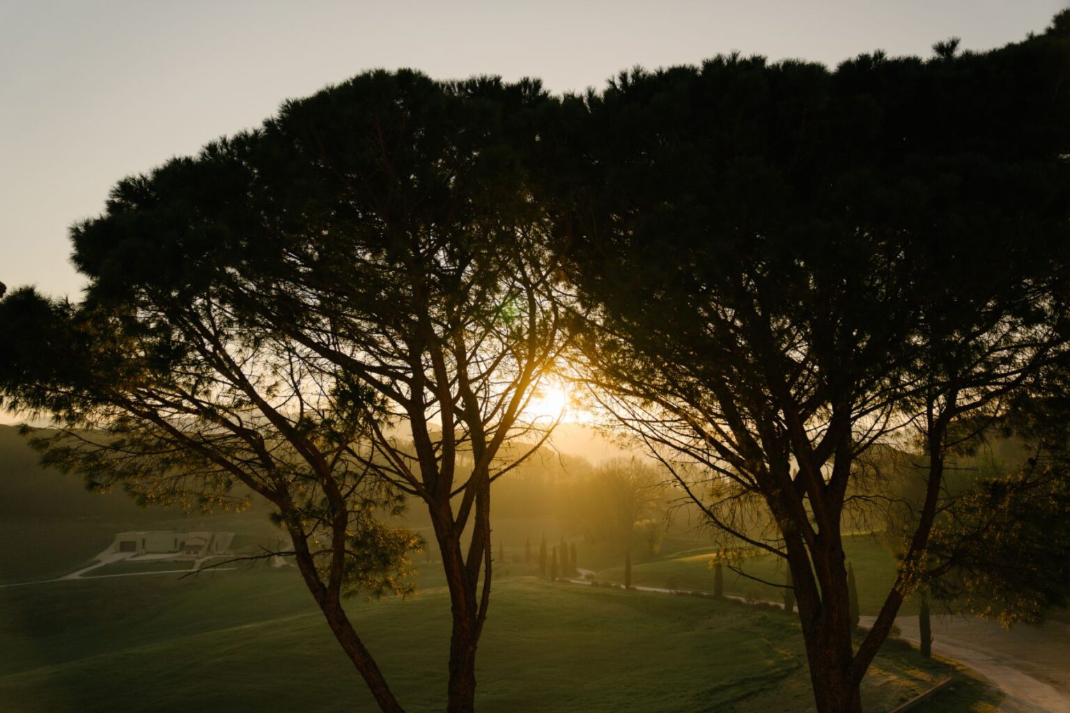 Sunrise illuminating a serene landscape through the branches of tall trees, casting warm golden light over a lush green field with a winding path and distant cypress trees. | Only on SopranoVillas