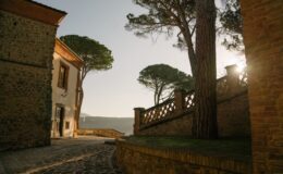 Scenic view of a historic stone building with a tree, featuring a cobblestone path and decorative railing, illuminated by soft morning light.