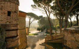 Scenic view of a historic stone building with a round tower, surrounded by tall trees and a winding pathway leading through a picturesque landscape in the early morning light.