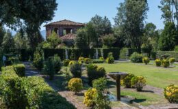 Lush garden landscape featuring neatly trimmed hedges, vibrant yellow and green shrubs, and decorative fountains, with a rustic building in the background under clear blue skies. Ideal for nature enthusiasts and garden lovers.
