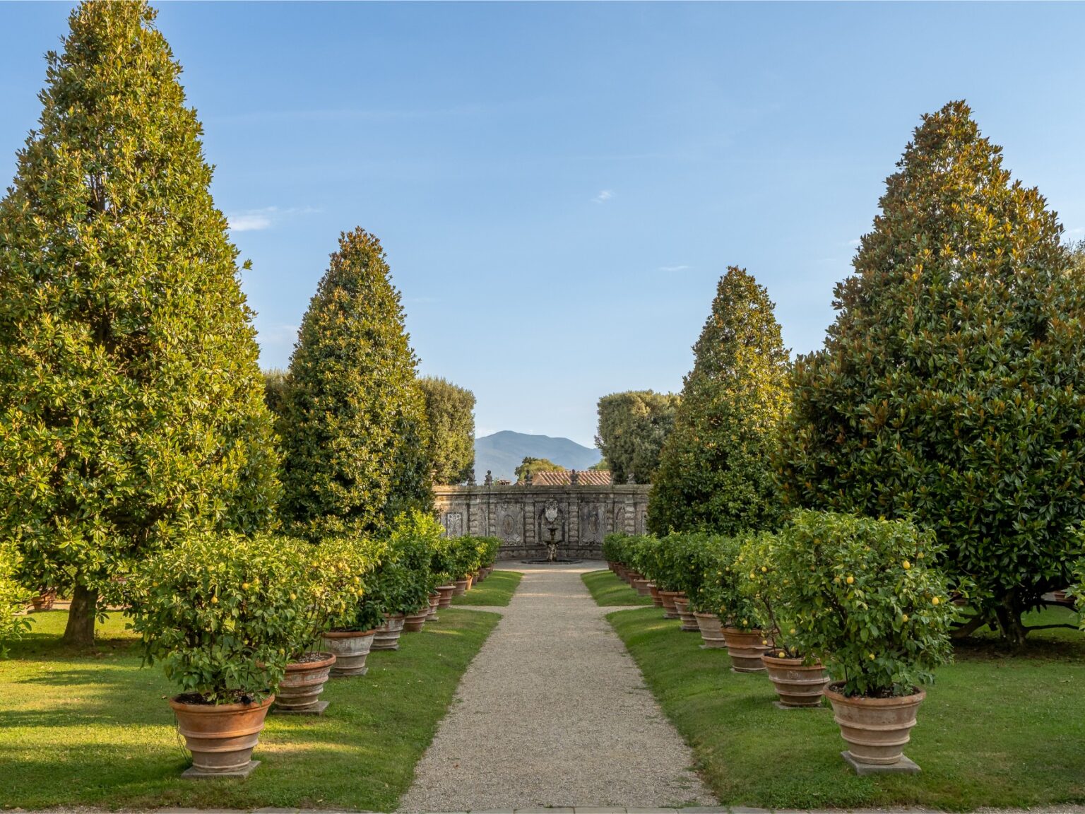 Lush garden path lined with potted lemon trees and tall green hedges, leading to a stone wall and mountains in the background under a clear blue sky. | Only on SopranoVillas