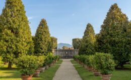 Lush garden path lined with potted lemon trees and tall green hedges, leading to a stone wall and mountains in the background under a clear blue sky.