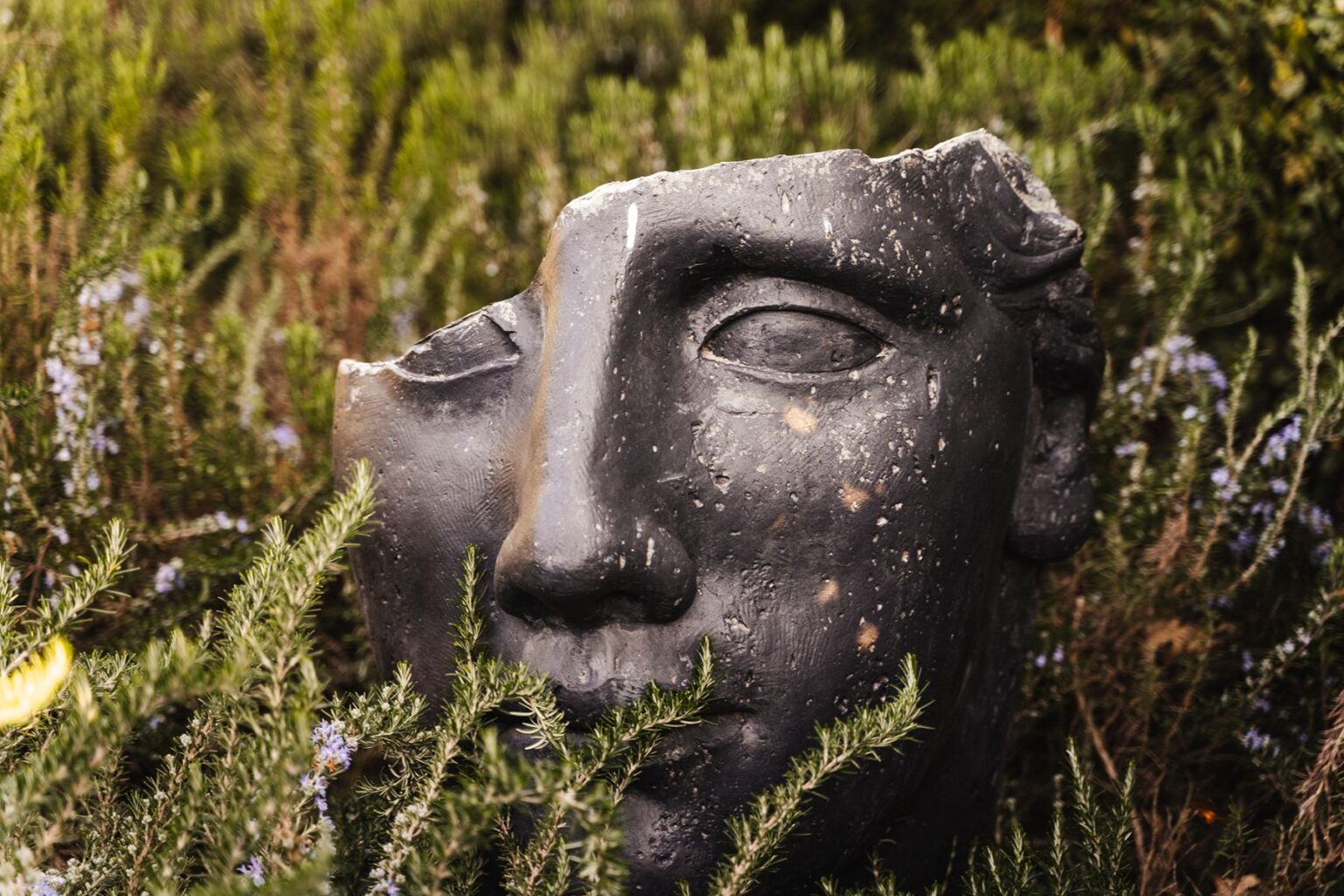 Black stone sculpture of a face partially hidden among green foliage and purple flowers, showcasing intricate details and textures. | Only on SopranoVillas