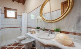 Elegant bathroom interior featuring a marble sink, gold-framed mirror, and decorative plants, with a shower area and stylish tile flooring. Ideal for showcasing modern design and luxury home features.