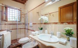 Modern bathroom design featuring a glass shower enclosure, a round sink with elegant fixtures, and a wooden cabinet. Decorated with indoor plants and natural light from a window, creating a warm and inviting atmosphere.