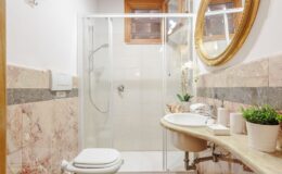 Modern bathroom interior featuring a glass shower enclosure, white toilet, and a stylish sink with a marble countertop. Natural light enters through a window, complemented by a round mirror and decorative plants.