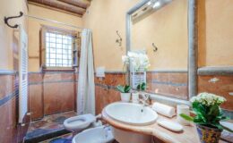 Cozy bathroom interior featuring a shower, sink, and toilet, with warm orange walls, decorative plants, and a large mirror. Ideal for home renovation inspiration.