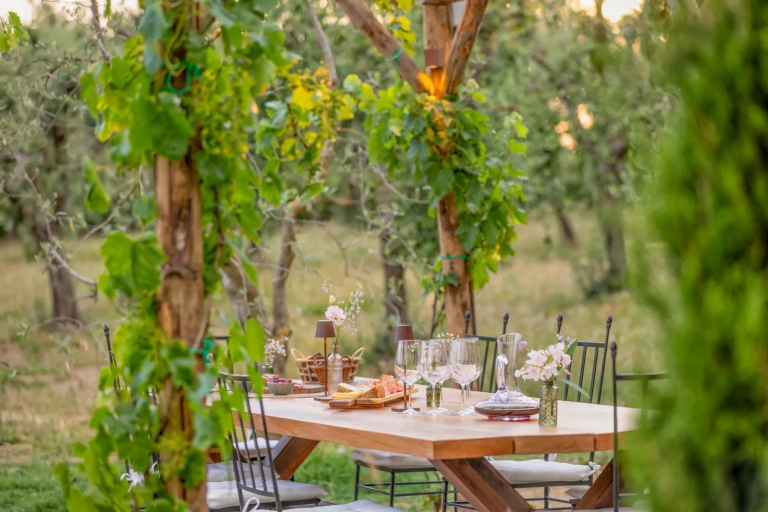 Outdoor dining setup featuring a rustic wooden table adorned with elegant glassware, flowers, and a charcuterie board, surrounded by lush greenery and grapevines in a serene garden setting. Perfect for a summer gathering or wine tasting event. | Only on SopranoVillas