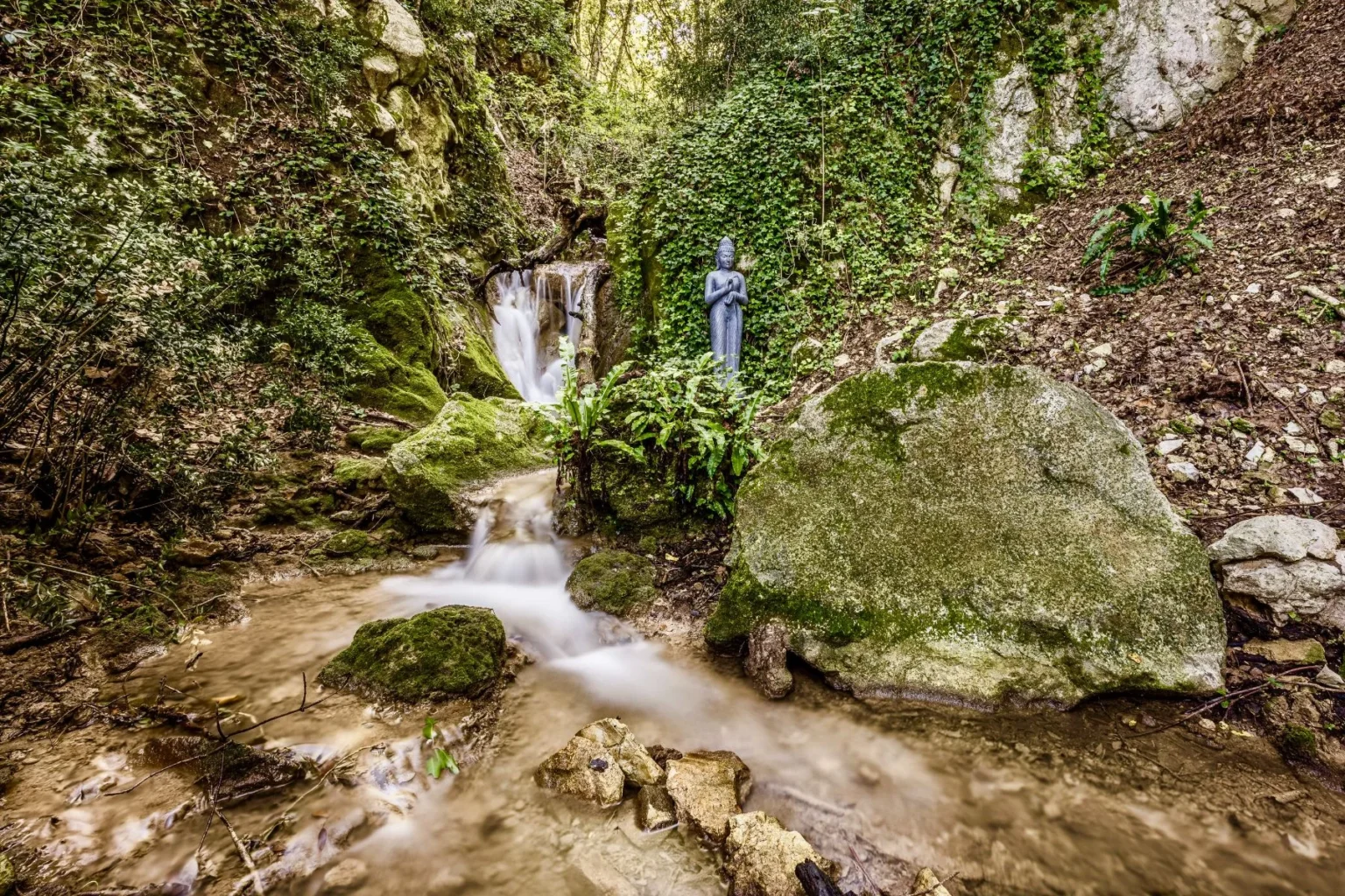 Serene forest scene featuring a flowing stream and a statue surrounded by lush greenery, showcasing natural beauty and tranquility. | Only on SopranoVillas