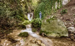Serene forest scene featuring a flowing stream and a statue surrounded by lush greenery, showcasing natural beauty and tranquility.