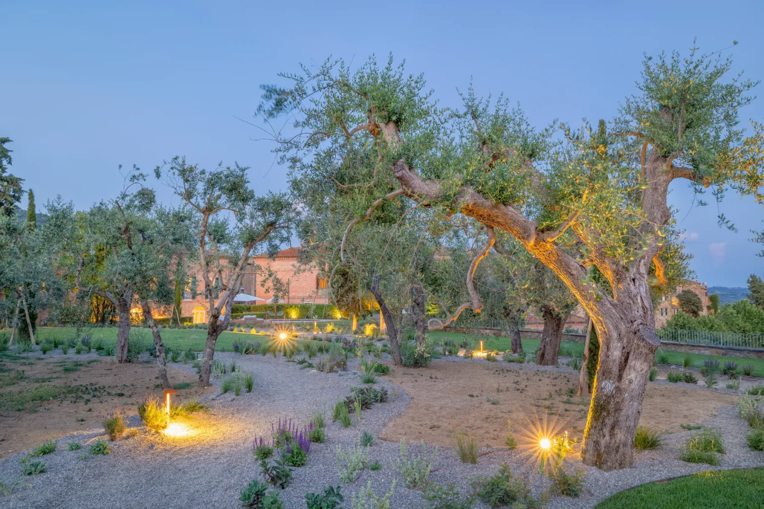Olive trees illuminated at dusk in a beautifully landscaped garden, featuring gravel pathways and diverse plants, with a rustic building in the background. | Only on SopranoVillas