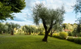  | Only on SopranoVillas