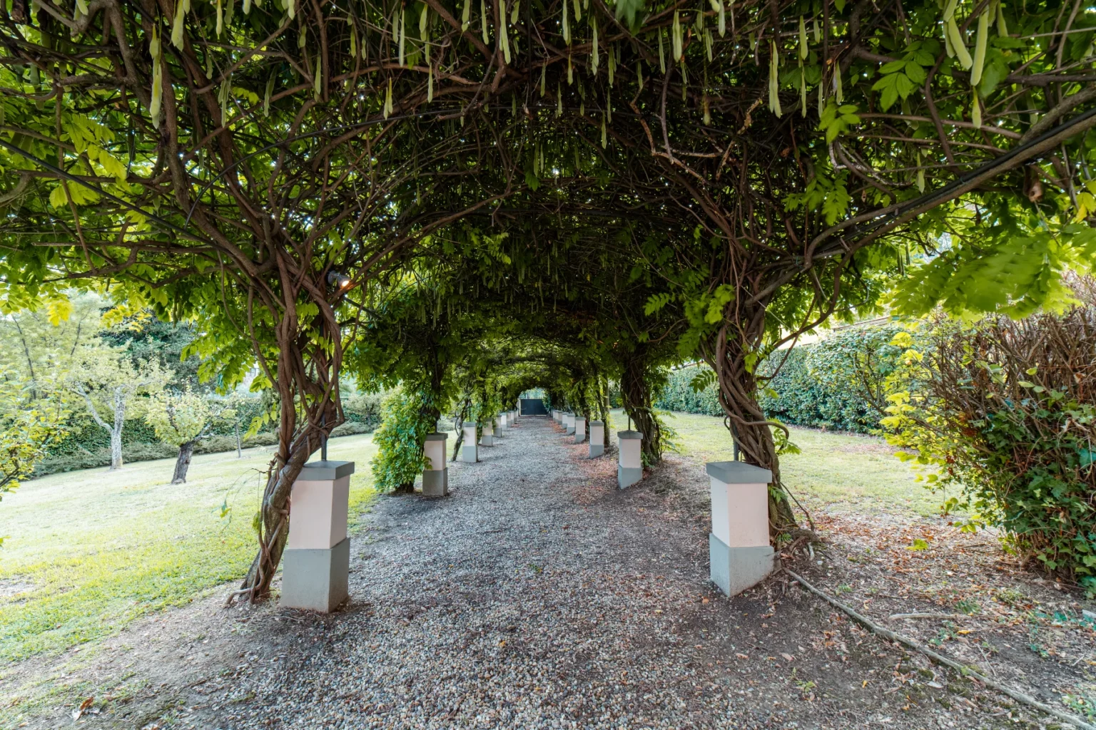 Lush green garden pathway covered by a vine trellis, lined with white stone pillars, leading to a serene outdoor space. | Only on SopranoVillas