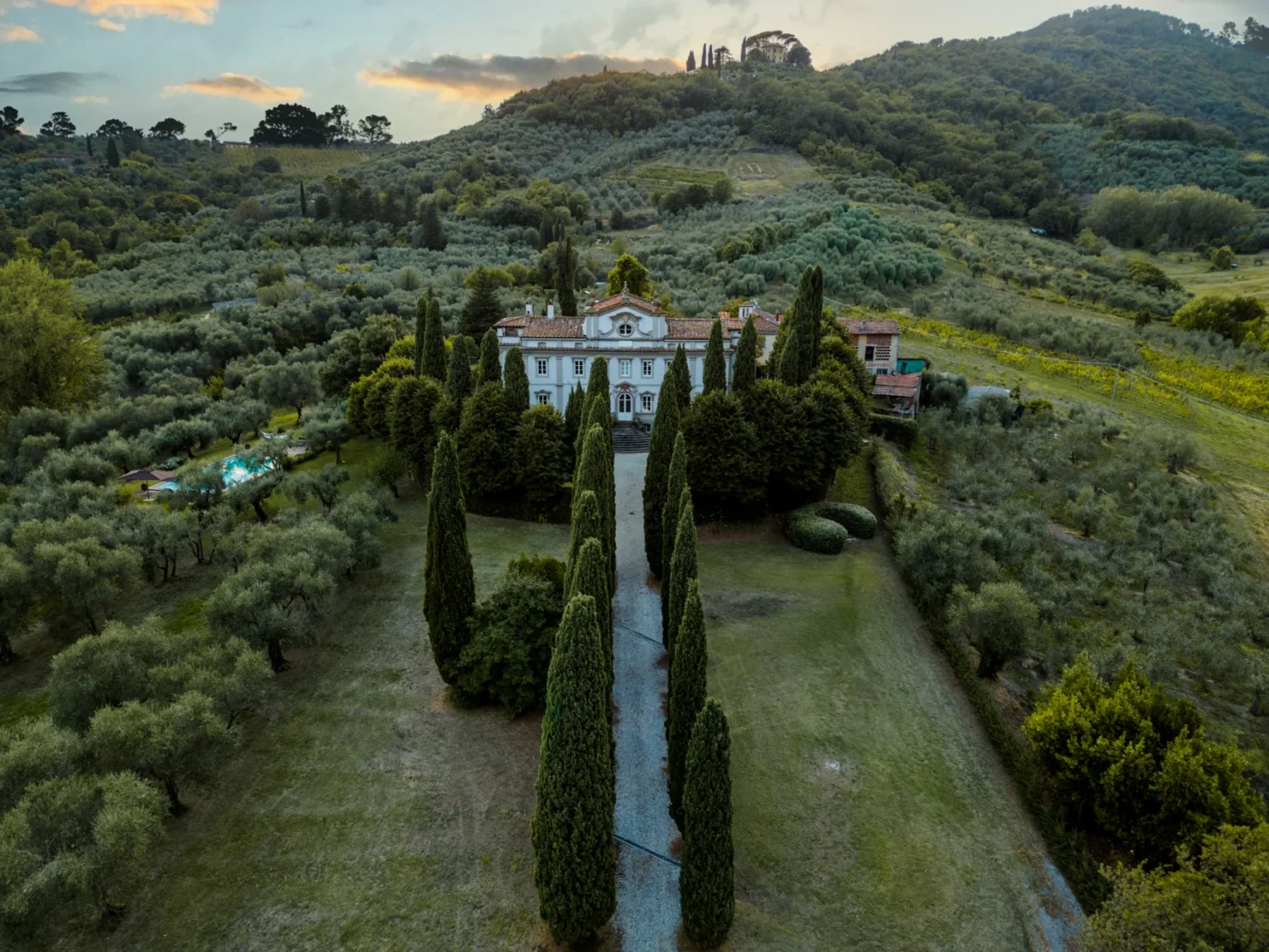 Aerial view of a historic villa surrounded by lush olive groves and rolling hills in a scenic landscape, featuring neatly trimmed cypress trees lining the pathway leading to the entrance. | Only on SopranoVillas