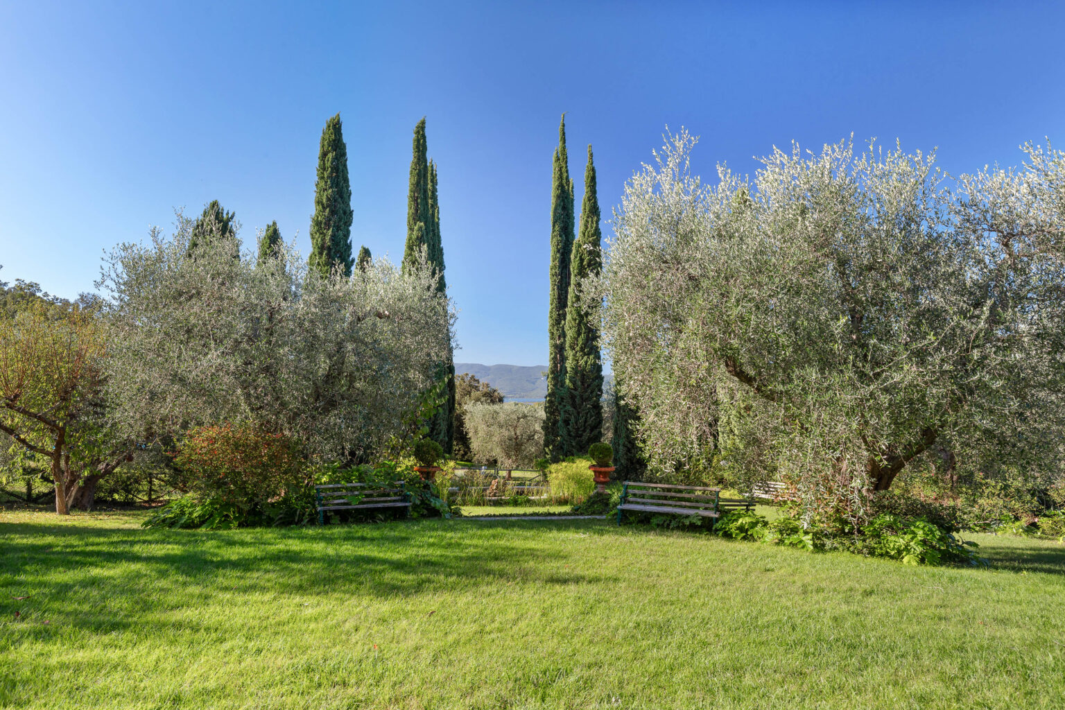 Lush green garden featuring olive trees and tall cypress trees under a clear blue sky, with wooden benches inviting relaxation in a tranquil outdoor setting. | Only on SopranoVillas