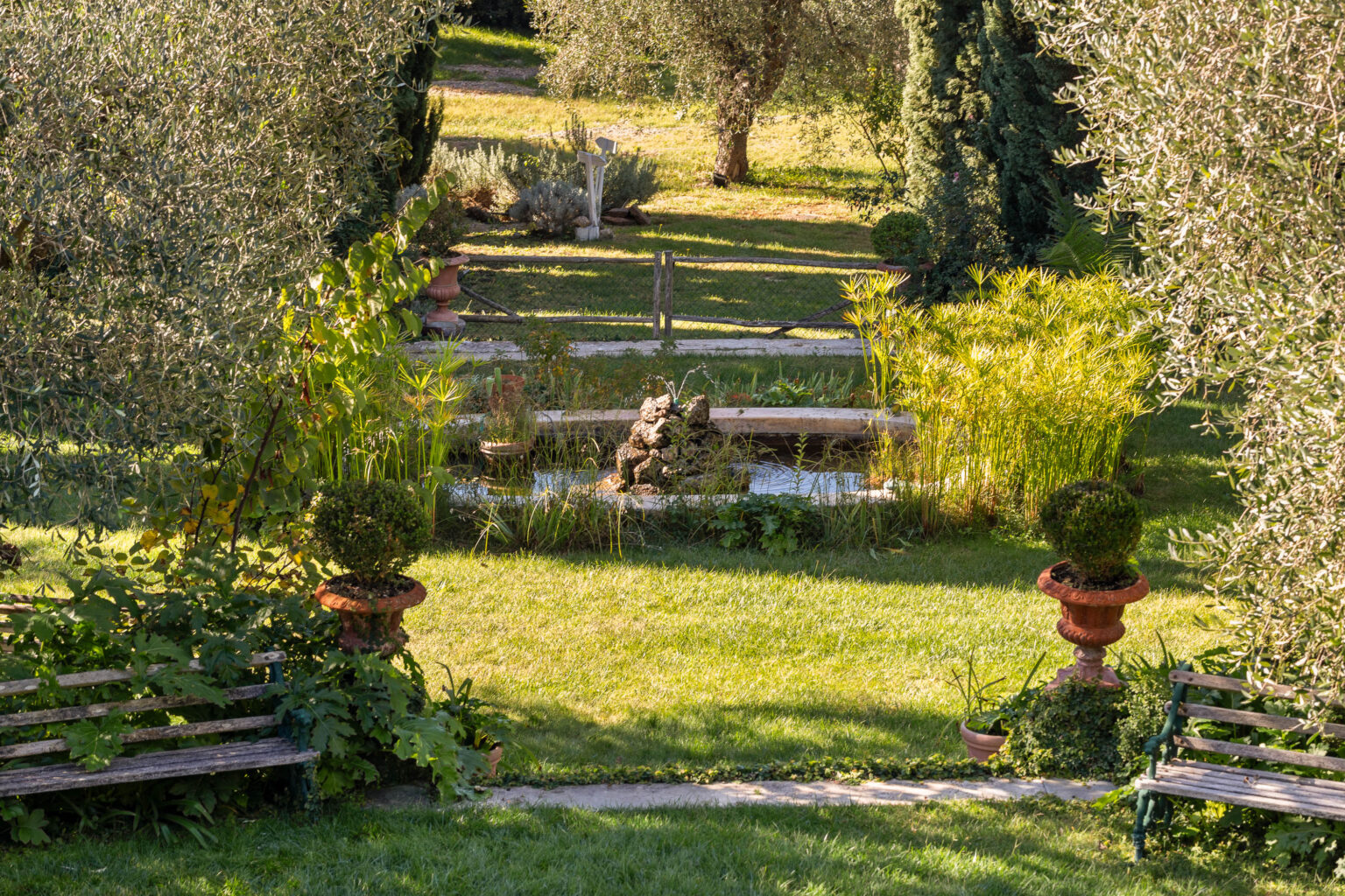 Lush garden scene featuring a tranquil pond surrounded by greenery, ornamental plants, and benches, set in a sunlit landscape with olive trees and a rustic pathway. Ideal for relaxation and nature appreciation. | Only on SopranoVillas