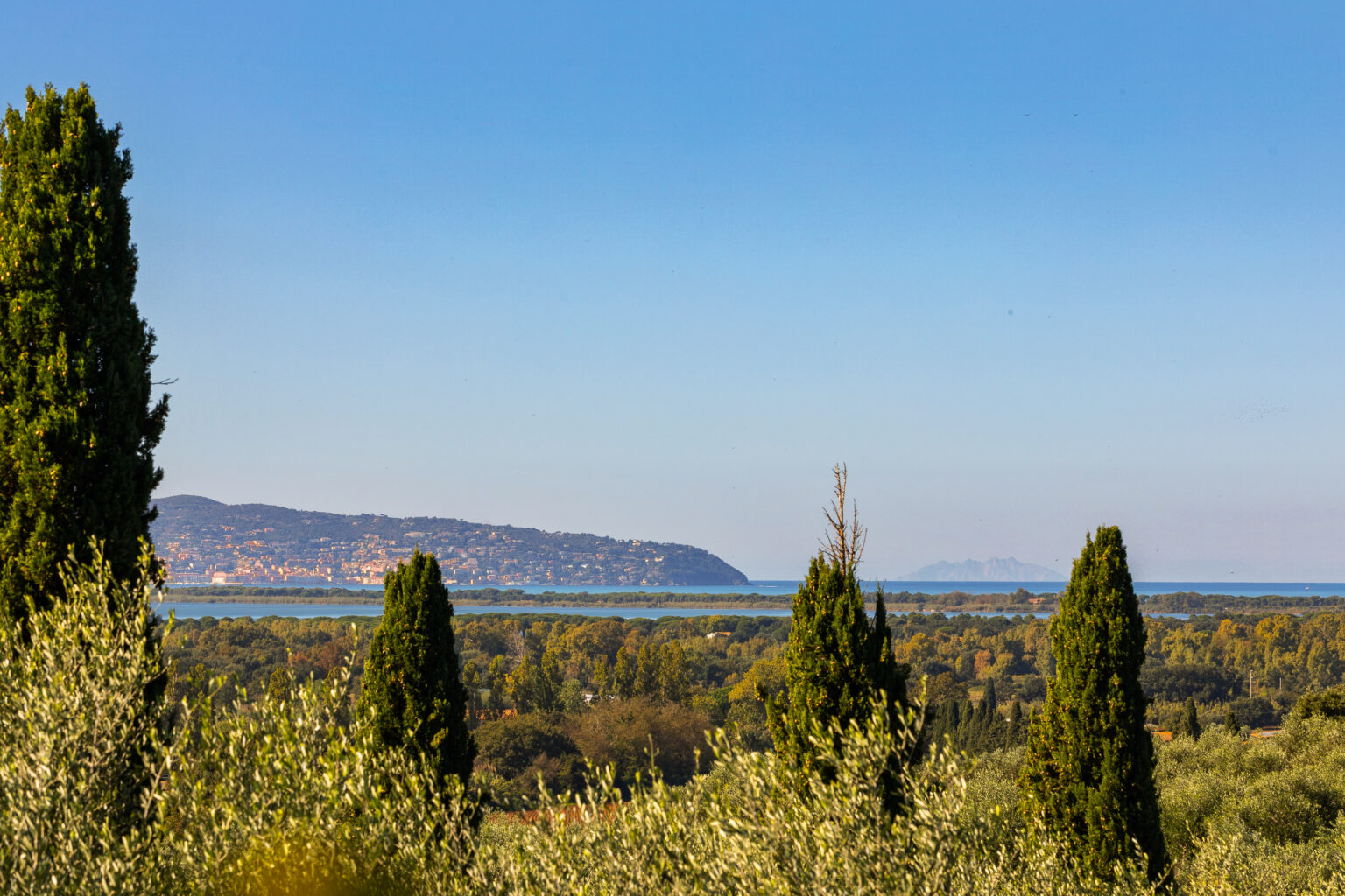 Scenic view of a coastal landscape featuring lush green trees, rolling hills, and a distant shoreline under a clear blue sky. The image captures the beauty of nature with vibrant foliage and the serene ocean in the background. | Only on SopranoVillas