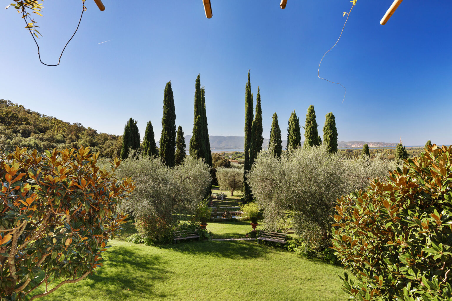 Lush green garden featuring tall cypress trees and olive trees under a clear blue sky, with scenic hills in the background and benches for relaxation. | Only on SopranoVillas