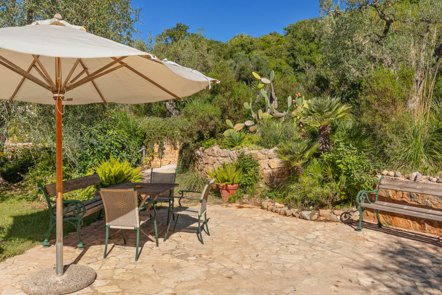 Outdoor garden patio scene featuring a table and chairs under a large umbrella, surrounded by lush greenery and various plants including cacti and palm trees. The stone pathway adds a rustic charm to the serene setting. Perfect for outdoor dining or relaxation. | Only on SopranoVillas