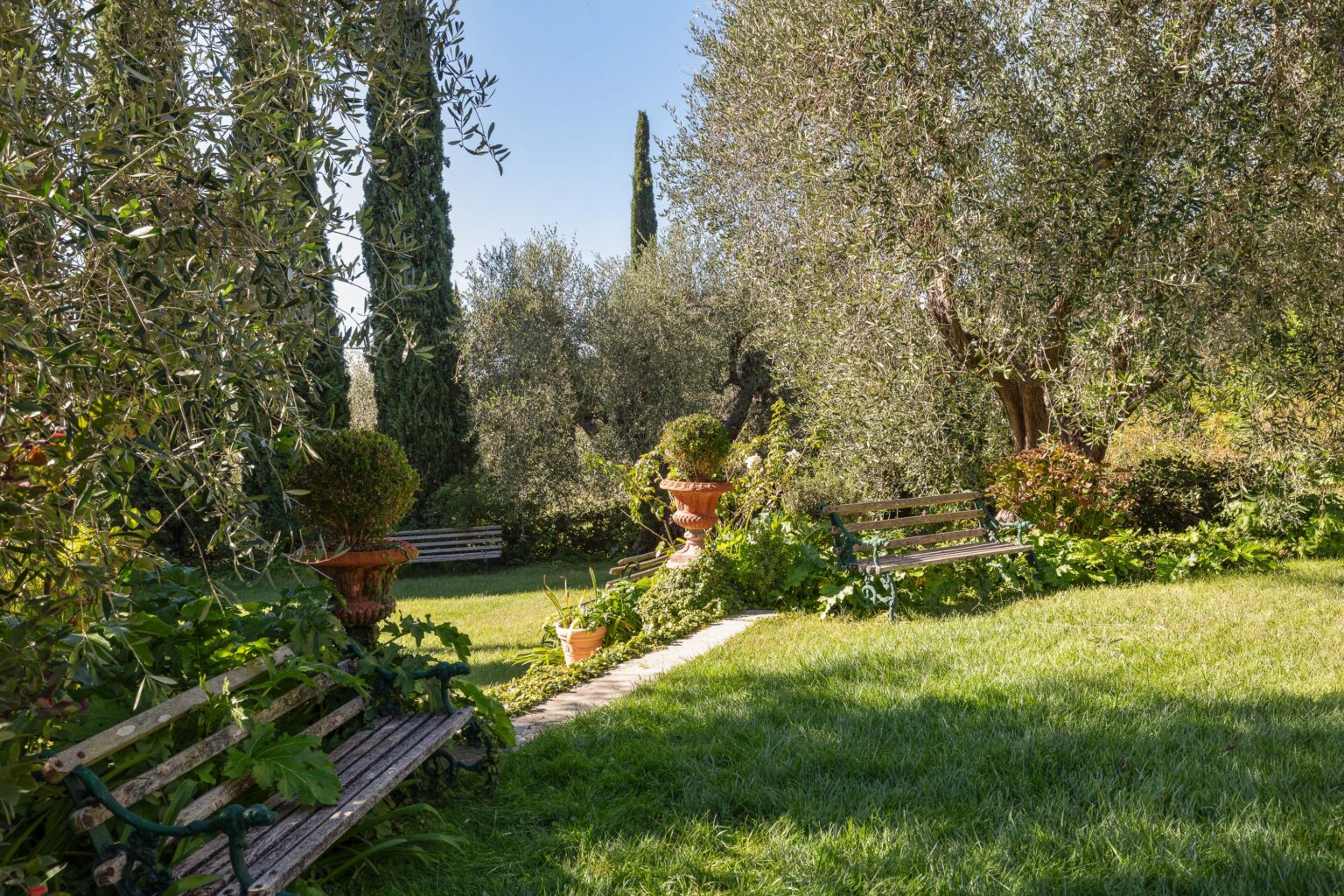 Lush garden scene featuring olive trees, manicured hedges, and rustic benches, creating a serene outdoor space ideal for relaxation. Sunlight filters through the foliage, enhancing the tranquil atmosphere. | Only on SopranoVillas