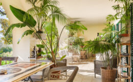  | Only on SopranoVillas