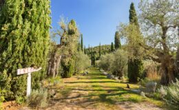  | Only on SopranoVillas