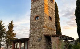 Historic stone tower with a tiled roof surrounded by lush green grass and trees, set against a picturesque sky. Ideal for showcasing architectural beauty in rural landscapes.