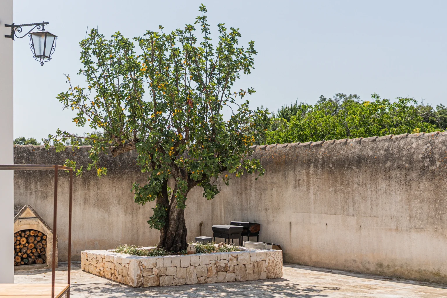A lush fig tree stands in a stone planter surrounded by a rustic wall, with a wooden log pile and a barbecue grill in the background under a clear blue sky. | Only on SopranoVillas