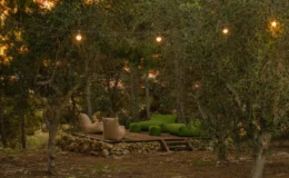 Cozy outdoor seating area surrounded by trees, featuring decorative string lights and manicured greenery, perfect for relaxation and gatherings.