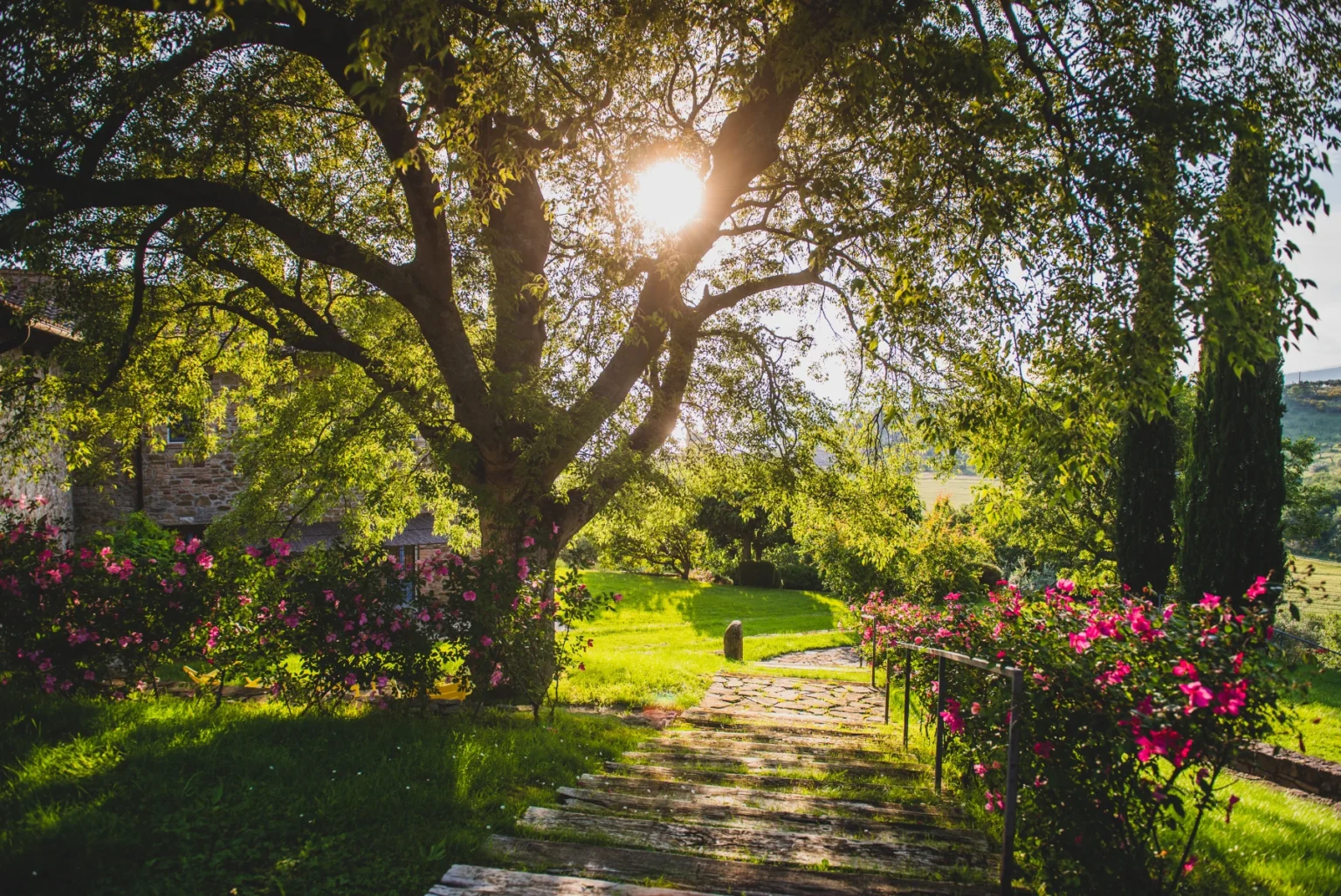 Lush garden pathway lined with vibrant flowers and a large tree, illuminated by sunlight filtering through the leaves, creating a serene outdoor atmosphere. | Only on SopranoVillas