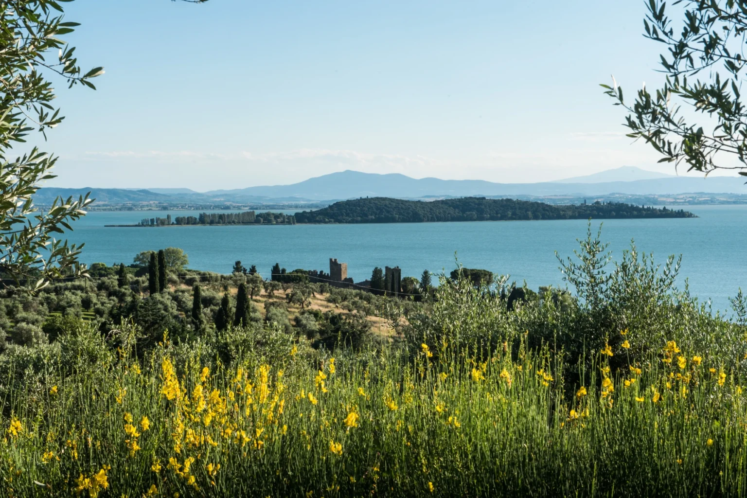 Scenic view of a tranquil lake surrounded by lush greenery and vibrant yellow wildflowers, with distant hills and an island visible on the horizon. | Only on SopranoVillas