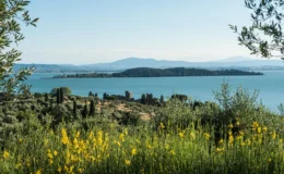 Scenic view of a tranquil lake surrounded by lush greenery and vibrant yellow wildflowers, with distant hills and an island visible on the horizon.