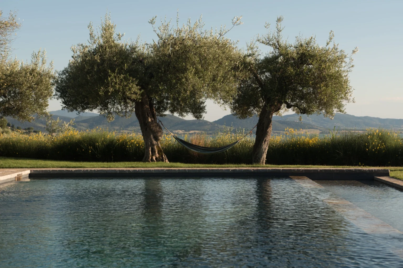 Serene outdoor scene featuring a swimming pool surrounded by lush greenery, with two olive trees and a hammock in the background, against a backdrop of rolling hills. | Only on SopranoVillas
