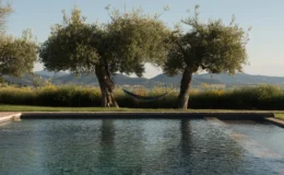 Serene outdoor scene featuring a swimming pool surrounded by lush greenery, with two olive trees and a hammock in the background, against a backdrop of rolling hills.