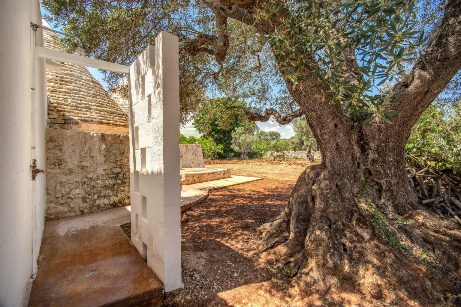 Olive Grove Trulli | Puglia image 12 | Only on SopranoVillas