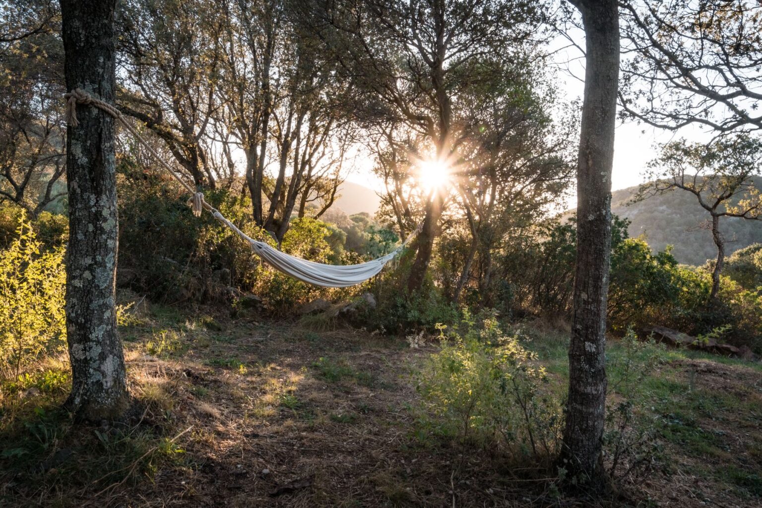 Mediterranean Retreat Villa | Sardinia image 25 | Only on SopranoVillas