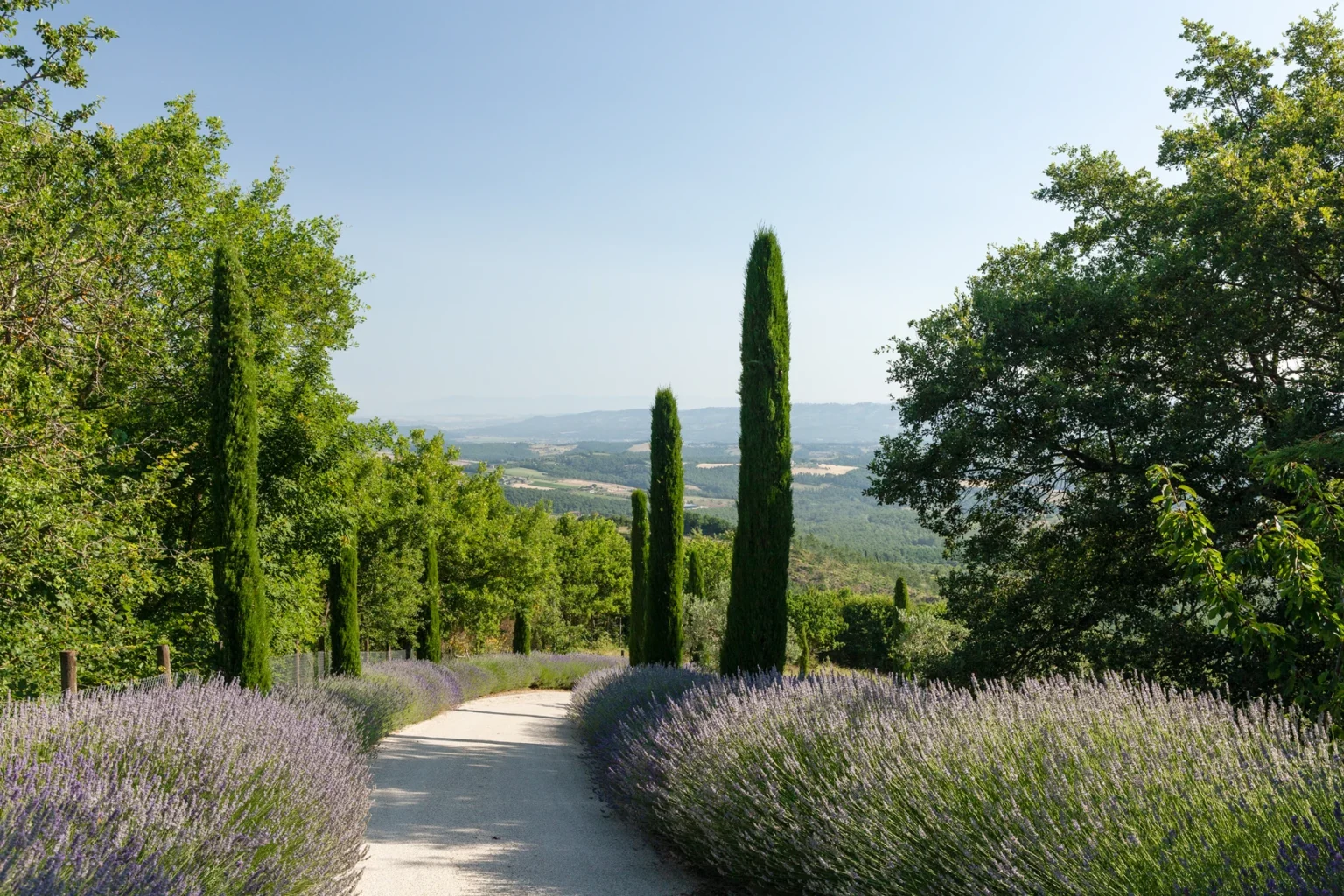 Bisenzio_Historic_Tower_Lavender_Lined_Driveway_Countryside_View.webp | Only on SopranoVillas