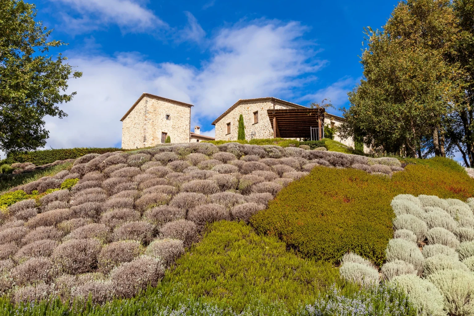 Bisenzio_Historic_Tower_Stone_Villa_Lavender_Gardens.webp | Only on SopranoVillas