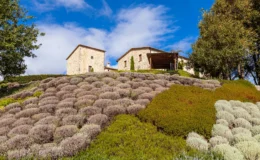  | Only on SopranoVillas